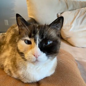 Meet your Posher, Jason